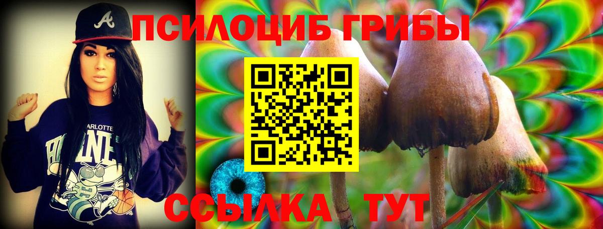 Галлюциногенные грибы Psilocybe  Вход с VPN  Щёлково 
