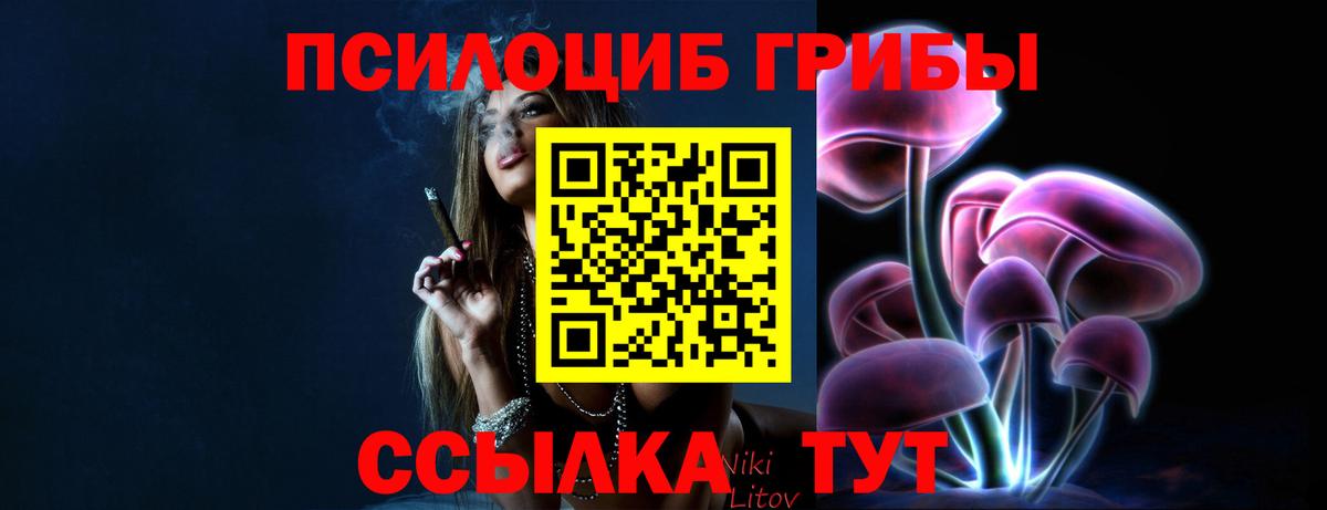 Псилоцибиновые грибы Cubensis Щёлково